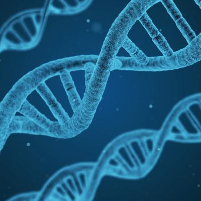 Now DNA will detect Cancer Types
