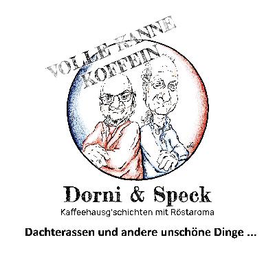 Dachterrassen und andere unschöne Dinge