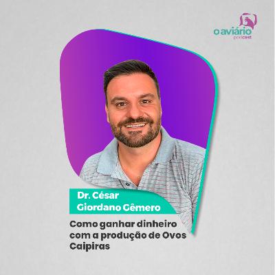 COMO GANHAR DINHEIRO COM A PRODUÇÃO DE OVOS CAIPIRAS - Dr. César Giordano Gêmero | Ep. 172