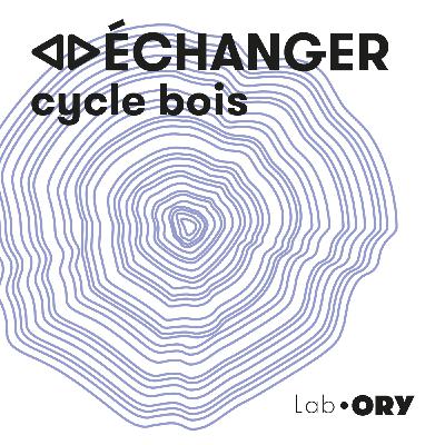 C1.E1_Le bois en architecture