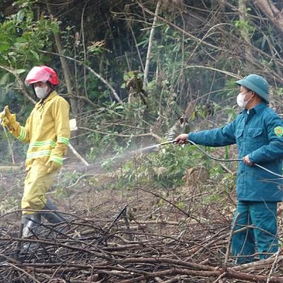Tin trong nước - Thái Nguyên chủ động ứng phó nguy cơ cháy rừng từ cơ sở