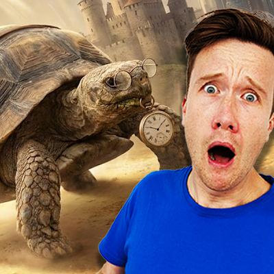 The Time Travelling Tortoise