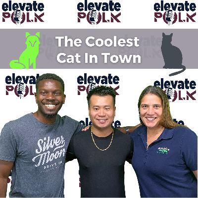 The Coolest Cat in Town