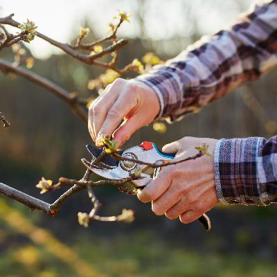 Warm weather, even in winter, means spring is coming! Warm weather, even in winter, means spring is coming!