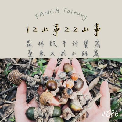 EP06|森林殼斗科寶窟-臺東大武山豬窟 EP06|森林殼斗科寶窟-臺東大武山豬窟
