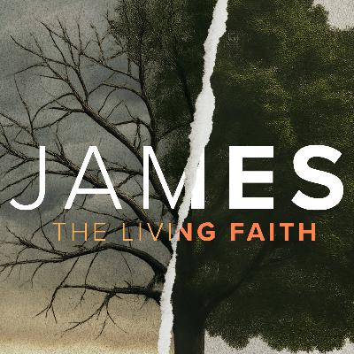 How to Find Wisdom When Life Makes No Sense | James: The Living Faith