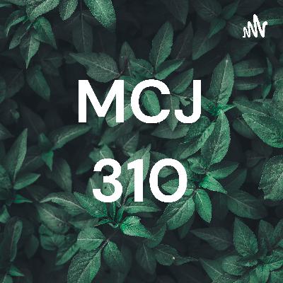MCJ 310