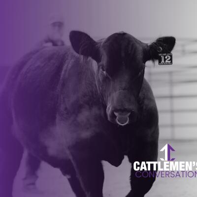 Cattlemen's Congress | Maine, Chi & Shorthorn Cattlemen's Congress | Maine, Chi & Shorthorn