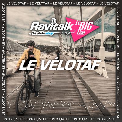 LE BIG LIVE #3 : Tout savoir sur la pratique du vélotaf !