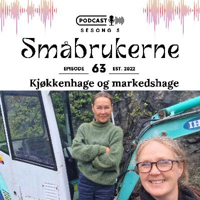 Kjøkkenhage og markedshage