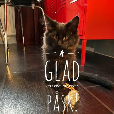 Episode 2: Avsnitt 33 RIP Hälsovårdsnämnden