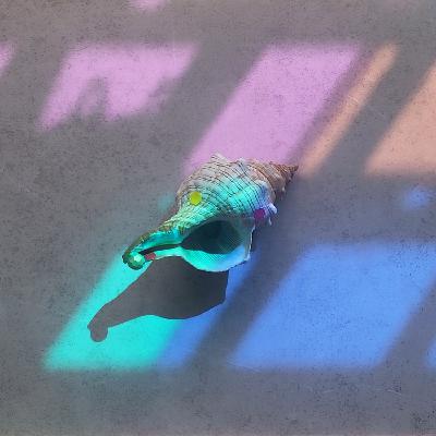 生滚粥 7：螺仙，及背后的故事和人（谭婧、谭悦、李好、刘诗梦）