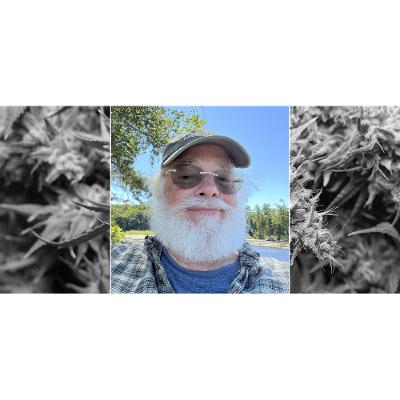 Dr. Gil Fanciullo: How Medical Cannabis Entered Modern Practice Dr. Gil Fanciullo: How Medical Cannabis Entered Modern Practice