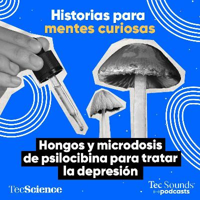 Ep. 127 - Hongos y microdosis de psilocibina para tratar la depresión. Todo lo que debes saber [Reestreno]