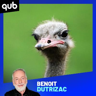 Aviaire: «On est à deux mutations d’avoir un virus potentiellement pire que la COVID»