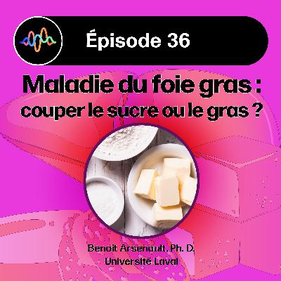 #36 - Les meilleures approches nutritionnelles pour la stéatose hépatique
