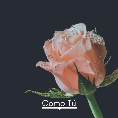 Como Tú - Roque Dalton | Audio Poema