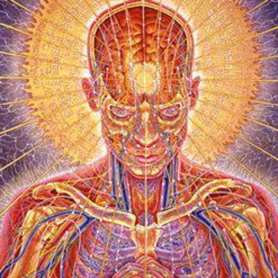 MUNDO ASTRAL NIVEL EMOCIONAL MUNDO ASTRAL NIVEL EMOCIONAL
