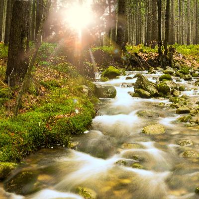 Mystic River ~ Deep Sleep & Relaxation Music with Calming Water Sounds