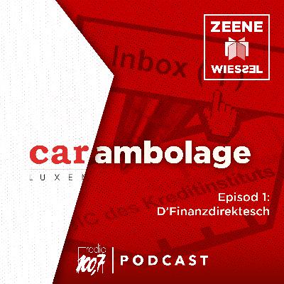 S02E01: D'Finanzdirektesch
