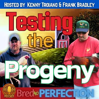 Ep273 - The Importance of Test Matings and Testing the Progeny