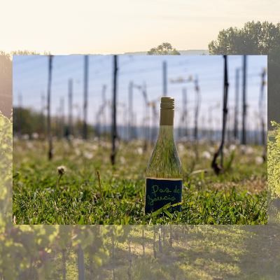 Colruyt launches Pas de Soucis