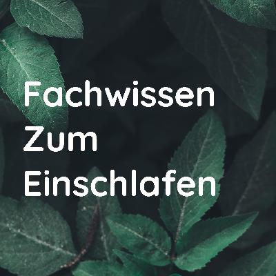 MyAirvo Schlauchkit
