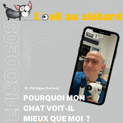 Pourquoi mon chat voit-il mieux que moi la nuit ? Pourquoi mon chat voit-il mieux que moi la nuit ?