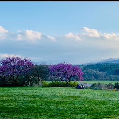 Bloom and Belong: An Easter Blessing with Family