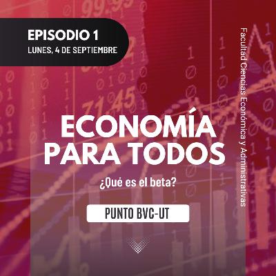 ¿Qué es el beta?