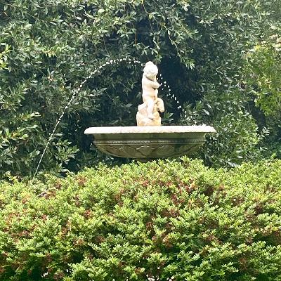 Field Trip Report Ardenwood Fountain