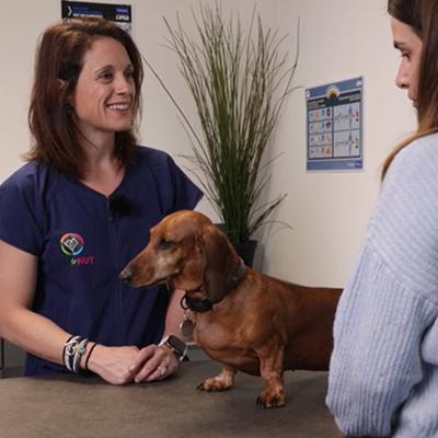 Lizzie sort de sa stérilisation et doit changer d'alimentation. Suivez les conseils nutritionnels du Dr vétérinaire Maud Clavel