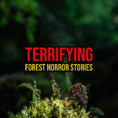 S6 Ep312: Episode 312: Terrifying Forest Horror Stories