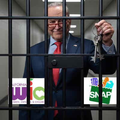 The Democrats Have Held The Americans Hostage