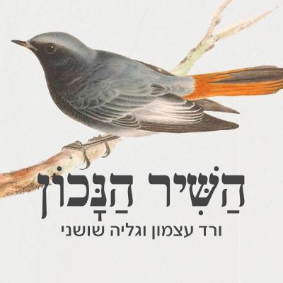 פרק 44 - אלף בית, ויסלבה שימבורסקה