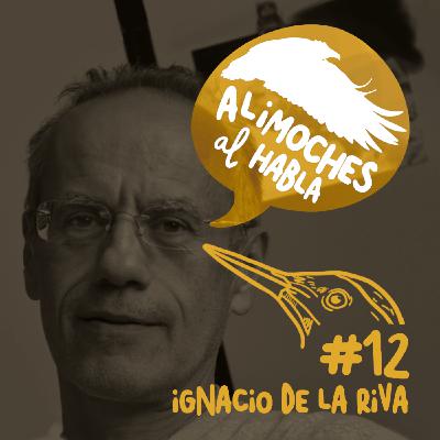Precioso, esperanzador y un lío taxonómico, con Ignacio de la Riva #12