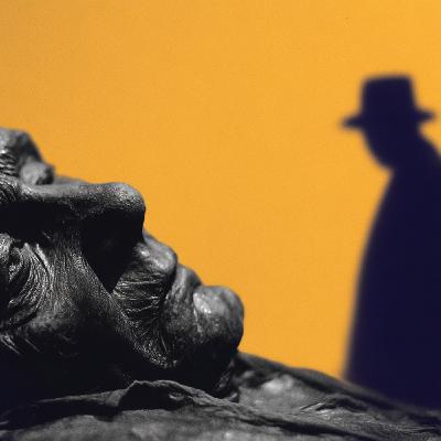 Moorleichen: Zwischen Mythos, Mord und Medienhype Moorleichen: Zwischen Mythos, Mord und Medienhype