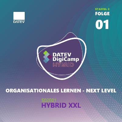 S0201 Hybrid XXL