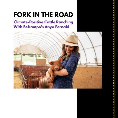 Can Raising Cattle Be Good For the Climate? with Belcampo's Anya Fernald