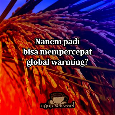 Nanem padi bikin global warming?