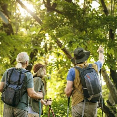 Ecoturismo en todo su entorno