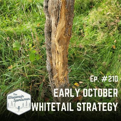 Early October Whitetail Strategy