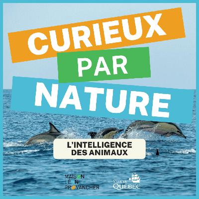 Curieux par Nature: L'intelligence des animaux