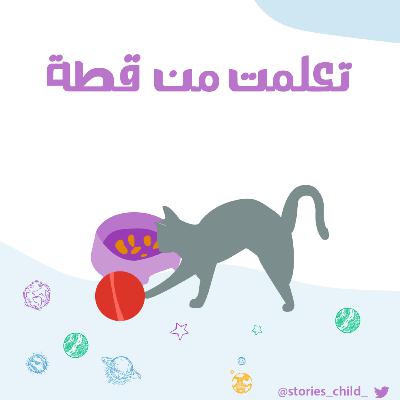 تعلمت من قطة ! تعلمت من قطة !