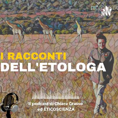 90 - Polpi, ricci di mare e carne di squalo: la pesca è anche bracconaggio