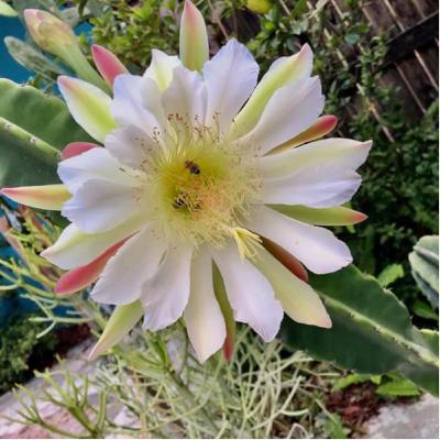 Healing Is Not Linear Healing Is Not Linear