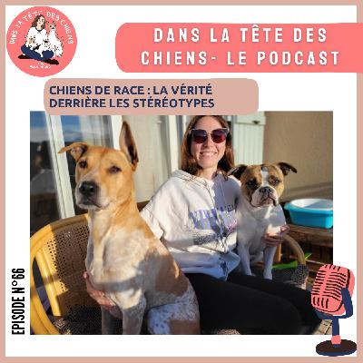 Chiens de race : la vérité derrière les stéréotypes