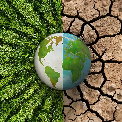 La entrevista en Radio 5 - Agustí Alcoberro. Clima y sociología - 22/07/25