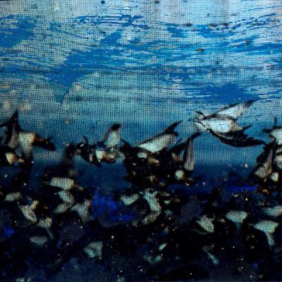 CANTICO Antonella Bragagna, Poesie - Osvaldo Negra, "Operazione Adorno" CANTICO Antonella Bragagna, Poesie - Osvaldo Negra, "Operazione Adorno"