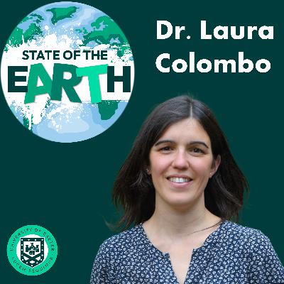 Transforming Management Education: Exploring Civic Management and Interdisciplinary Approaches for a Sustainable Future with Dr Laura Colombo